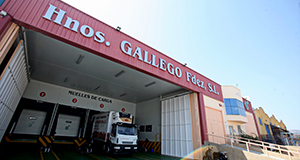 Grupo Gallego