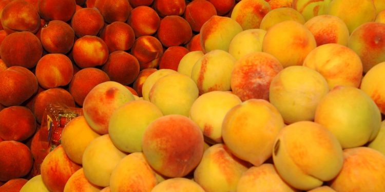 Melocotón