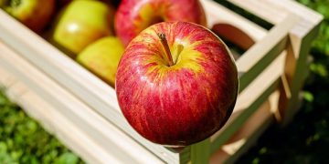 Manzanas