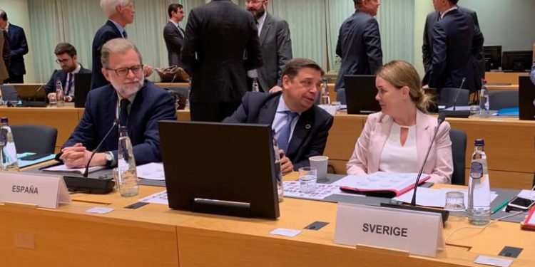 Planas en la Comisión Europea
