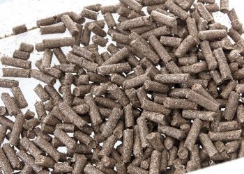 Proyecto de economía circular