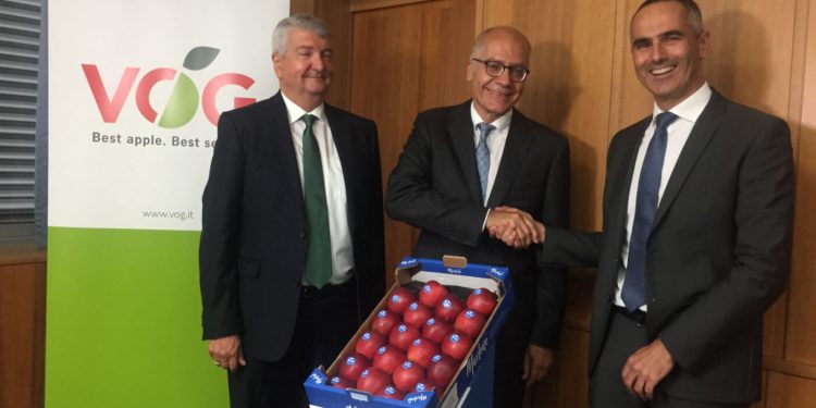 Walter Pardatscher VOG