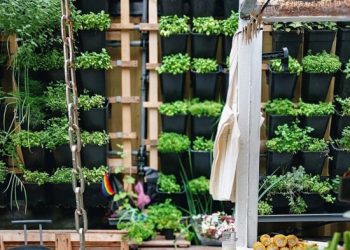 Agricultura vertical