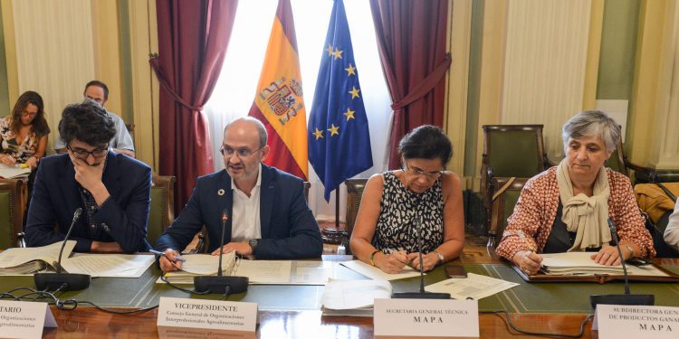 Consejo interprofesional