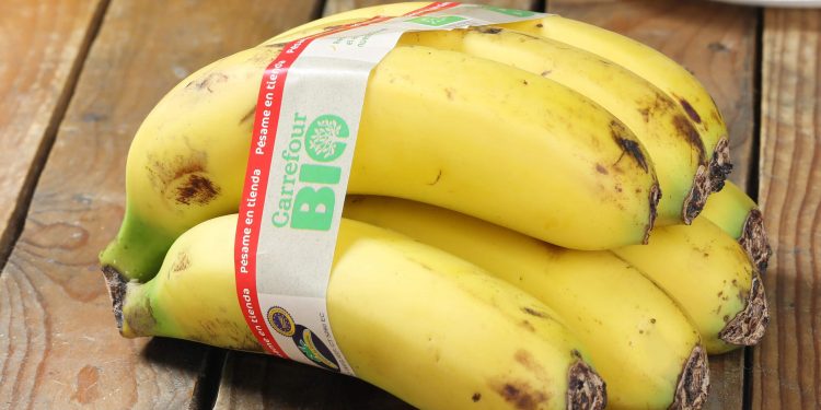 Platanos de Canarias