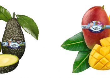 SanLucar mango y aguacate