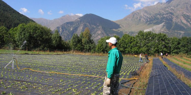 Agricultura ecologica