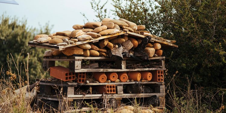 Hotel para insectos