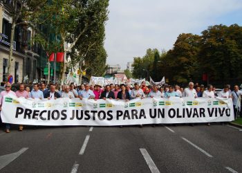 Manifestación