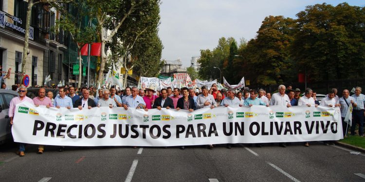 Manifestación