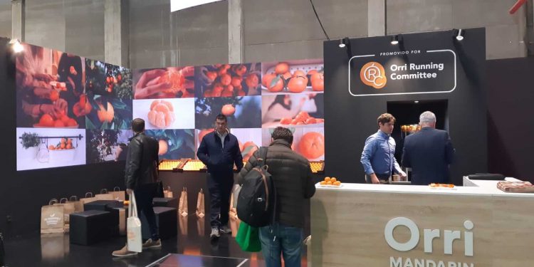Orri mandarina