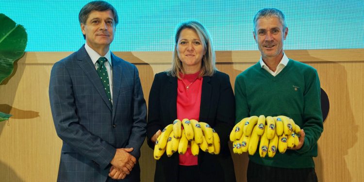 Plátano de Canarias