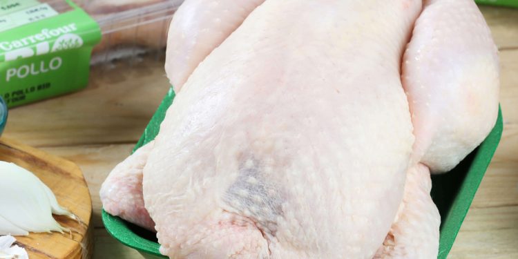Pollo