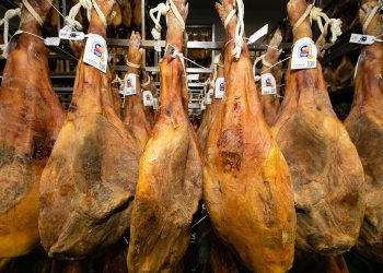 DOP Jamon Teruel