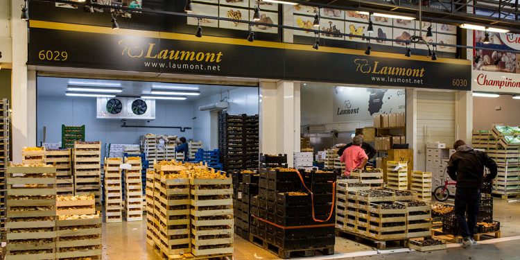 Laumont