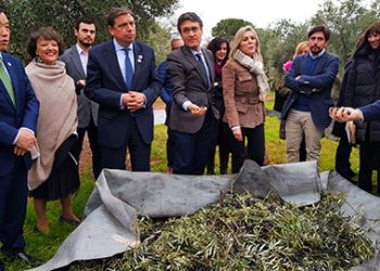 Luis Planas visista almazara