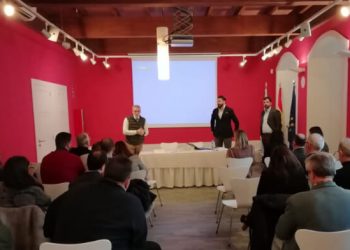 Presentación estudio