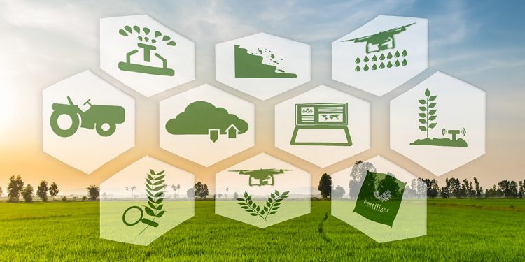 Innovación en el campo
