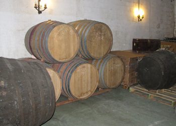 Bodega Cinco Leguas