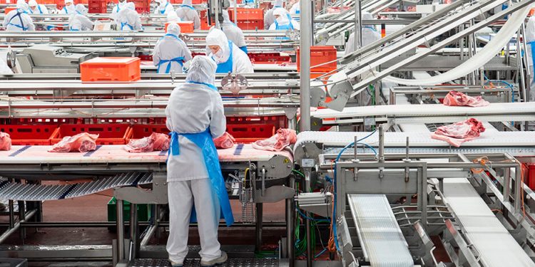 Industria cárnica