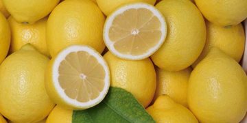 Limones