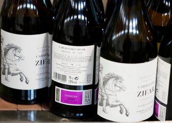 Nuevo vino Ribera del Duero