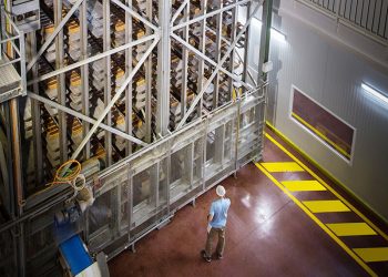 Planta de Vicky Foods