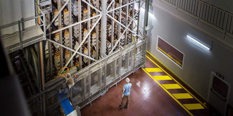 Planta de Vicky Foods