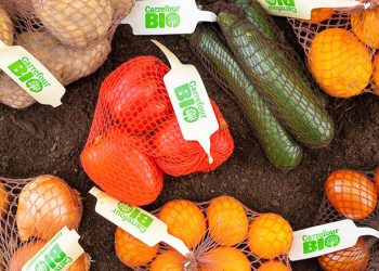 Carrefour bio