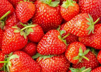 Pruebas nueva packaging