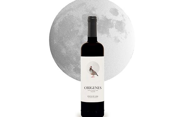 Origenes
