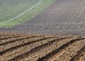 Campo labrado