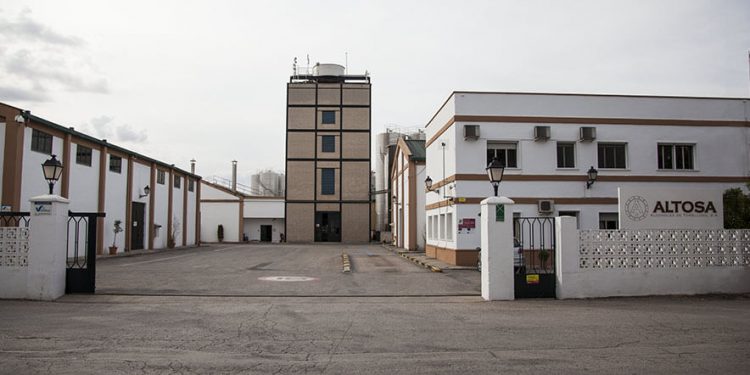 Planta de Altosa