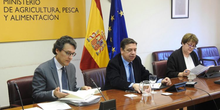 Conferencia entre España y Francia
