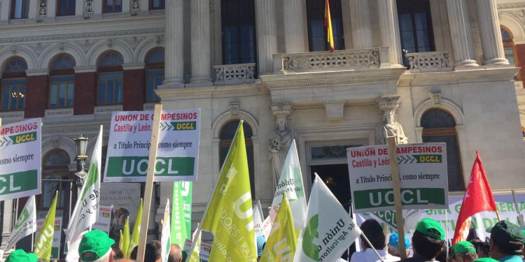 Manifestación