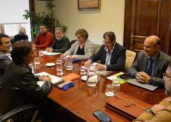 Mesa sectorial apicola