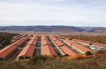 Grupo Miguel Vergara