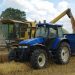 Agricultura