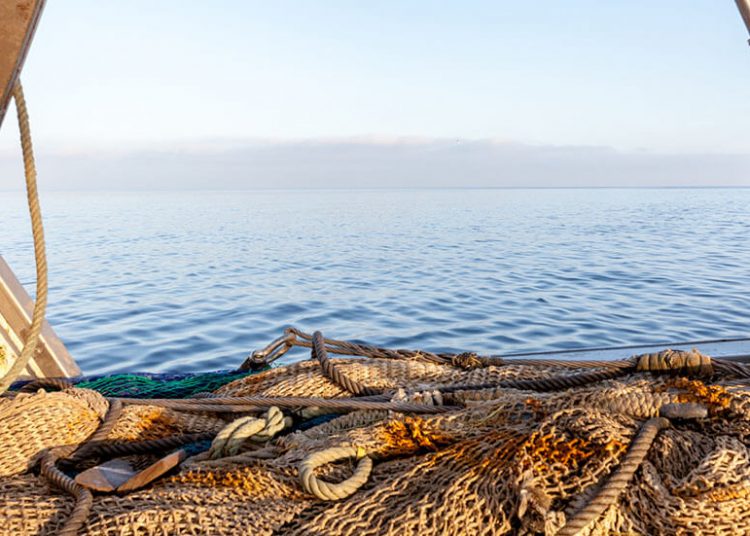 Barco de pesca