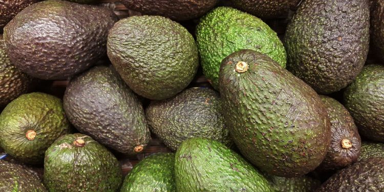 Aguacates