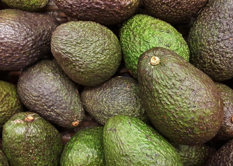 Aguacates