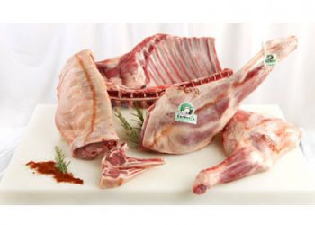 Carne-cordero