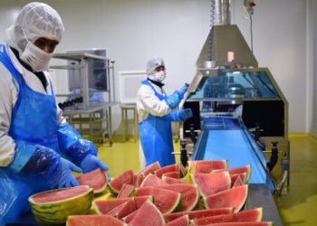 Industria alimentaria