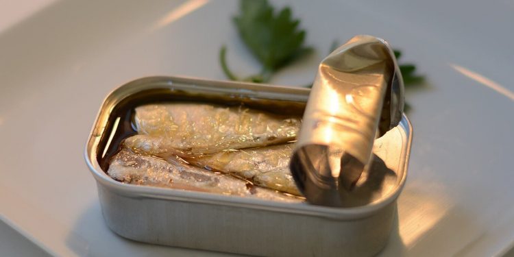 Conservas pescado