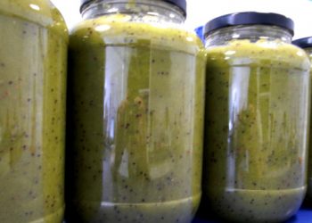 Cremogenado triturado industrial de Kiwi