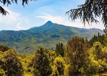 Parque Natural del Montseny