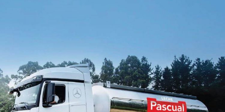 Pascual