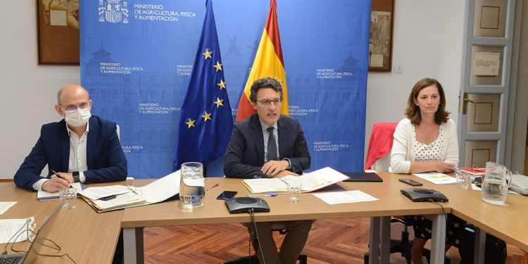 Reunion Observatorio Cadena