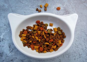 Comida para mascotas