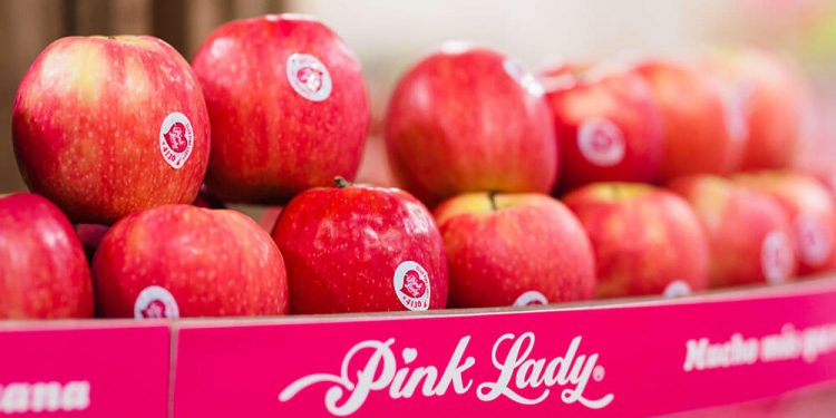 Pink Lady